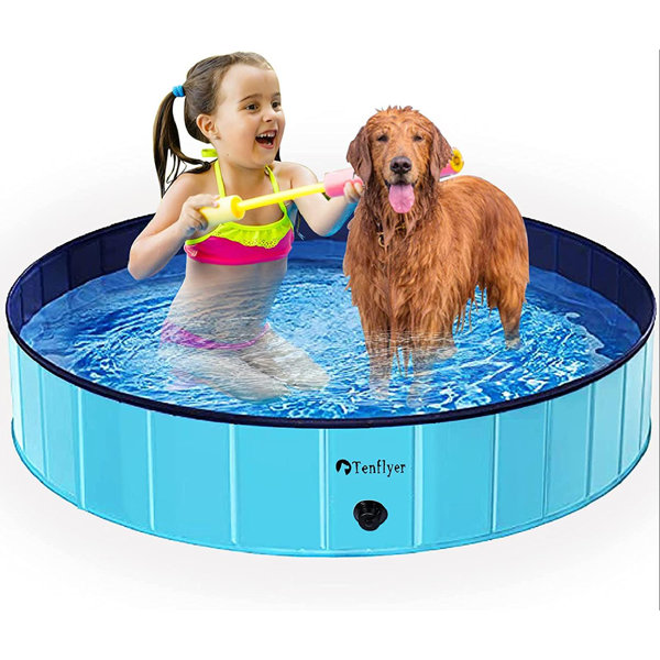 large kiddie pool for dogs